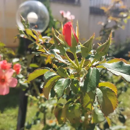 Bo's Place 3* Saints Constantine and Helena