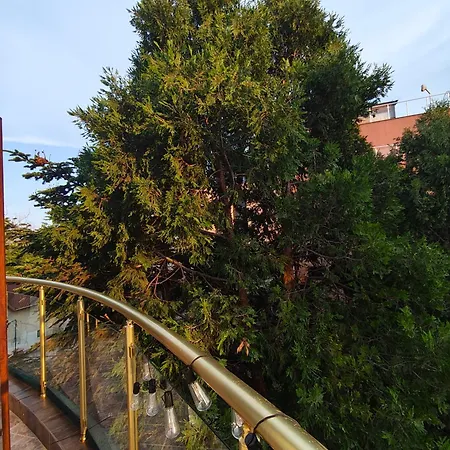 ホテル Bo's Place セインツ・コンスタンティン＆ヘレナ