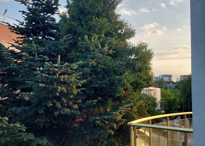 Bo's Place Отель 3*