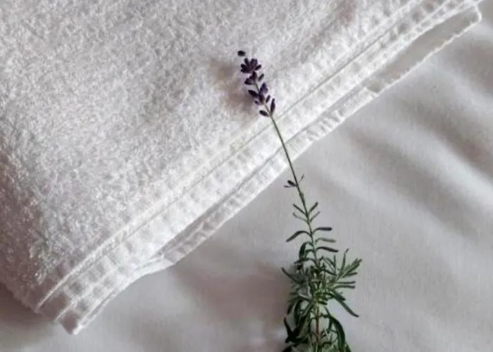 Bo's Place Отель